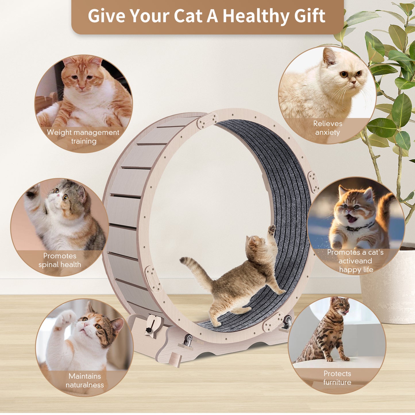 41.3 inch Wooden Large Cat Exercise Wheel Cat Treadmill Running Wheel Silent Cat Toy Roller Lockable No Gap Design